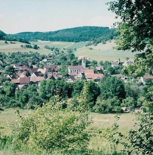 Gasthaus Schwanen & Villa Pfarrhus シュテューリンゲン エクステリア 写真